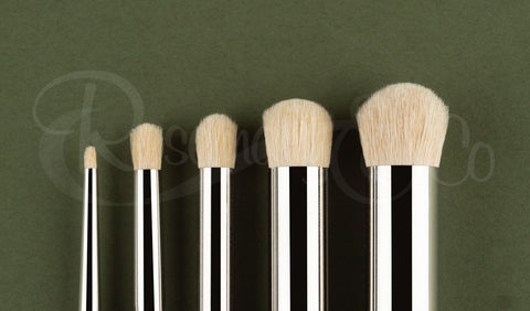 Model Dry Brush