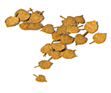 AK Interactive - Vegetation - Lime 1/35