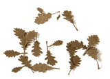 AK Interactive - Vegetation - OAK Dry Leaves 1/35